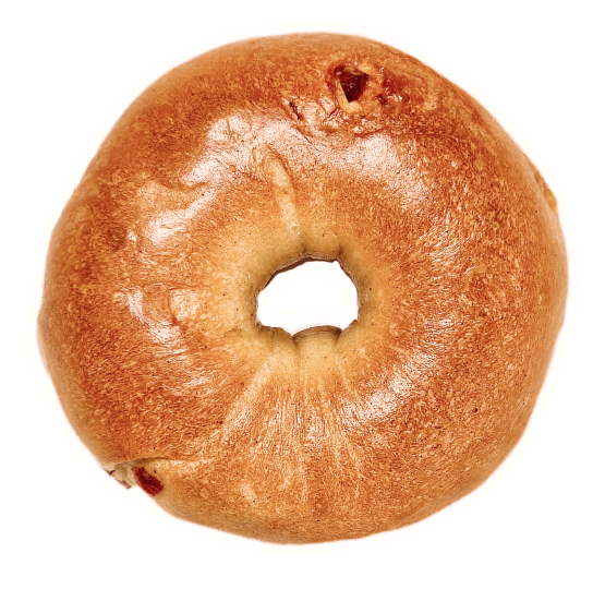 Cranberry Cinnamon Bagel